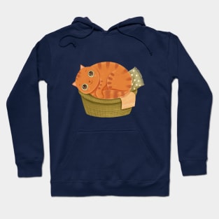 Cute cat in a basket Hoodie